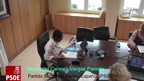 Comisión de Pleno de Bienestar Social, Igualdad, Educación y Deportes 8.7.2026